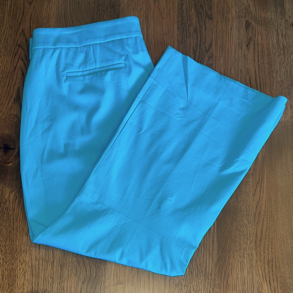 J.Crew Women’s Aqua Wide Leg Pants 14